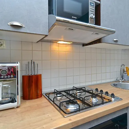 Ferienhaus House Desanka 2102