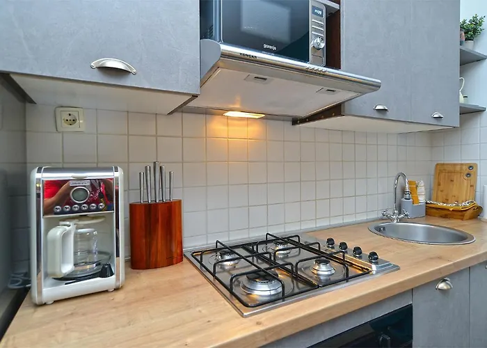 度假居 House Desanka 2102